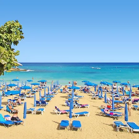 Laila - Coralli Beachfront Appartement